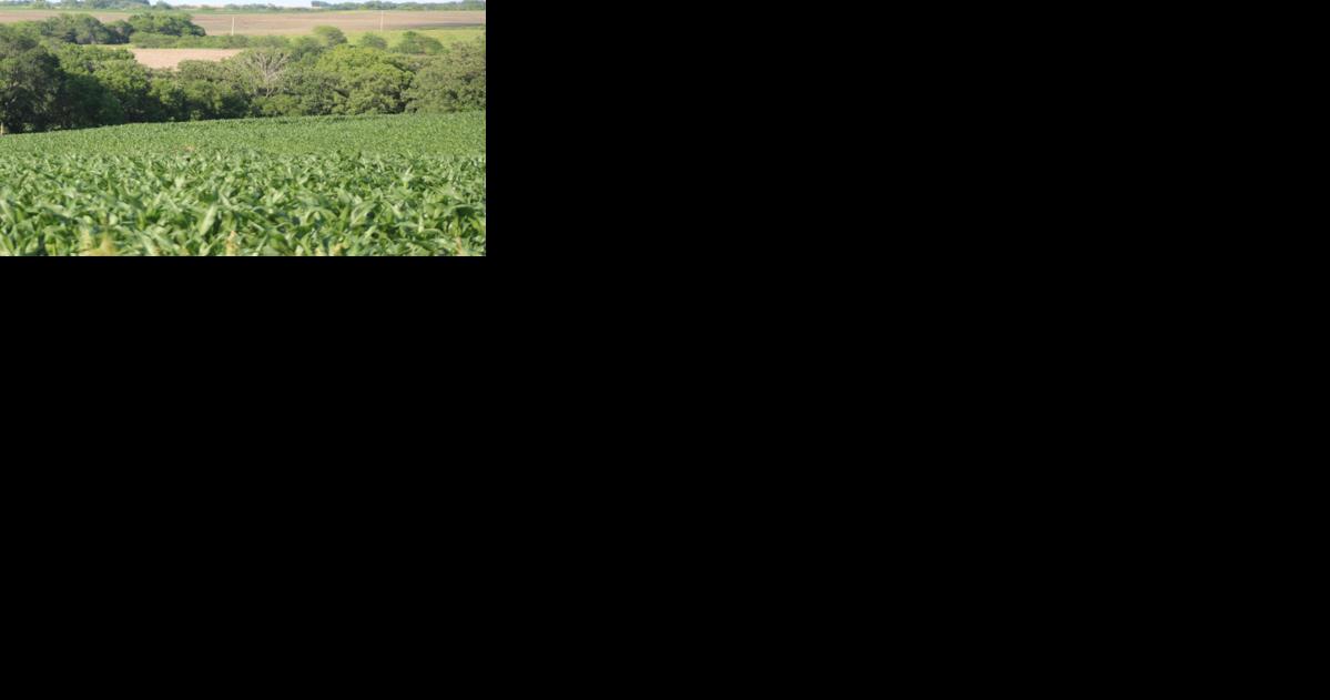'Bringing the farm to school' producer training focuses on increasing local food sales | Agriculture - Vimarsana News