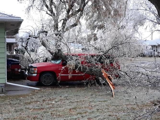 Winter Tree Damage I Omaha Tree Service