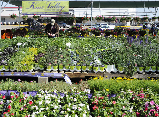 Temporary gardening centers spring up around Fremont