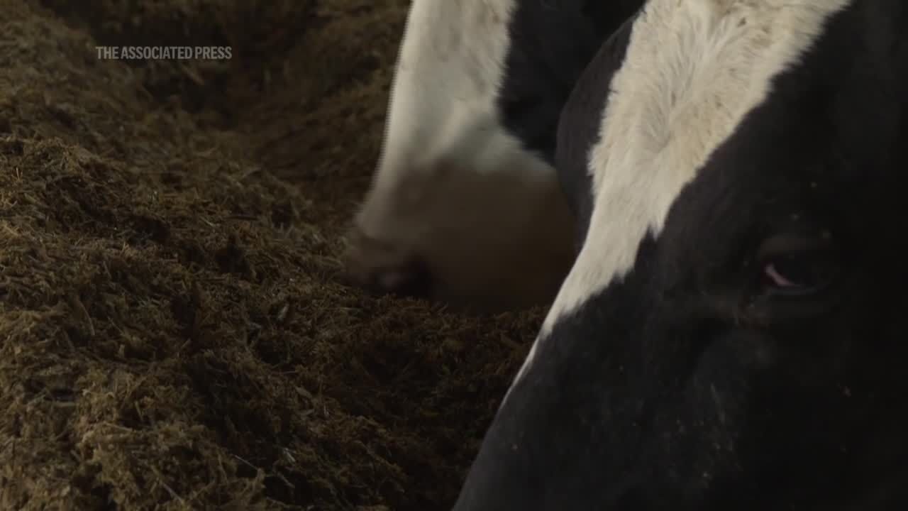 Letter: Marvelous sports reporting Letter: Marvelous sports reporting