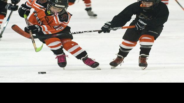 Squirt Hockey, Fremont Flyers, 3.8.15 | Homepage | fremonttribune.com