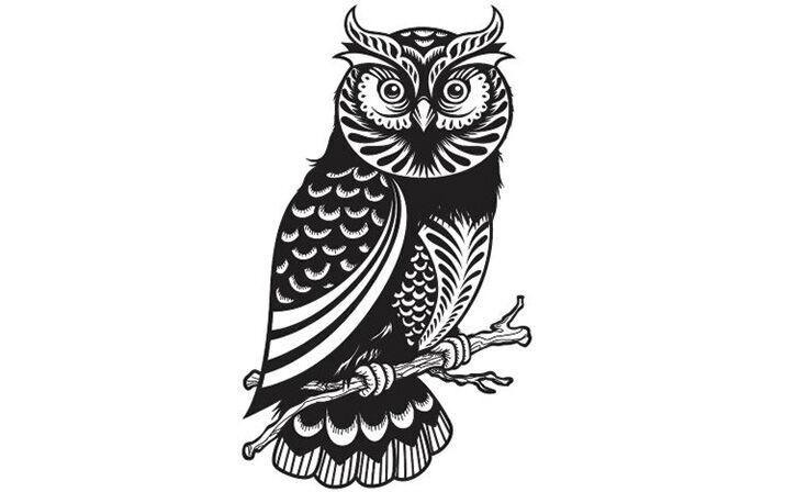 LOGO wise olde owl.jpg
