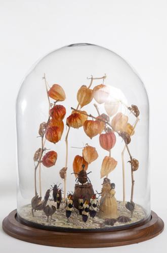 Great Plains Art Museum to open immersive exhibition focused on insect world