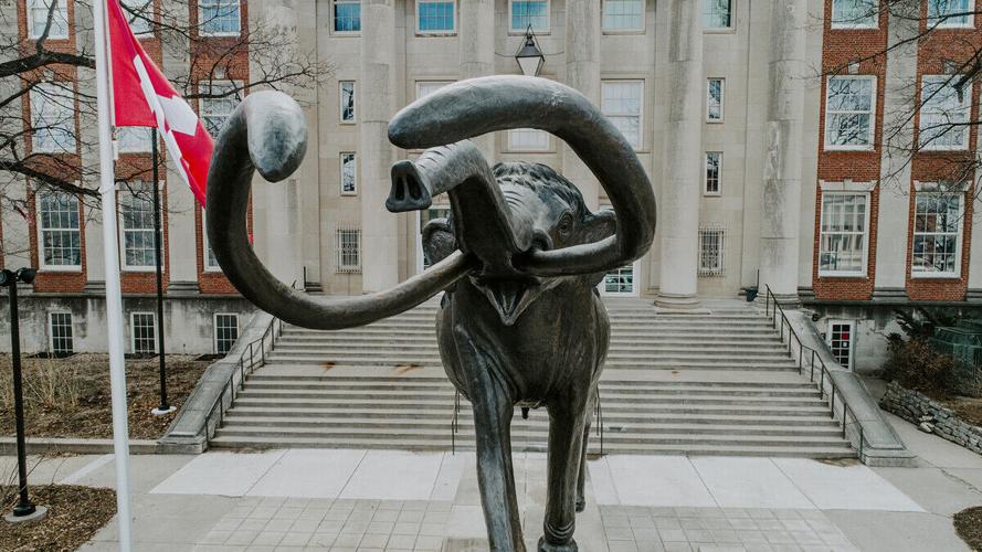 Public invited to ‘Eight-Legged Encounters’ at Morrill Hall