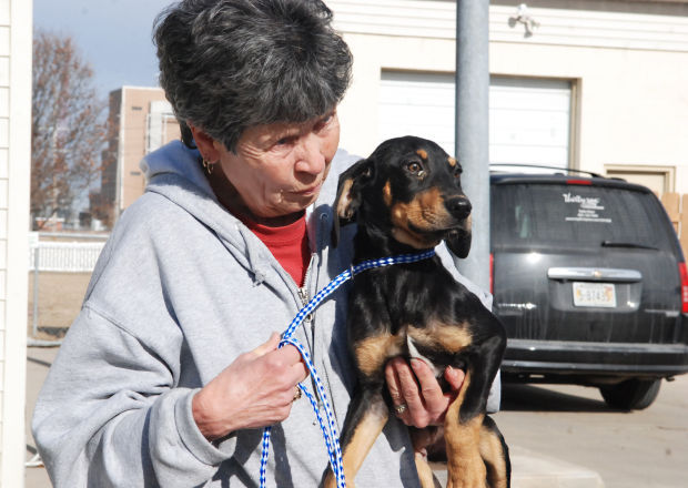 fremont humane society