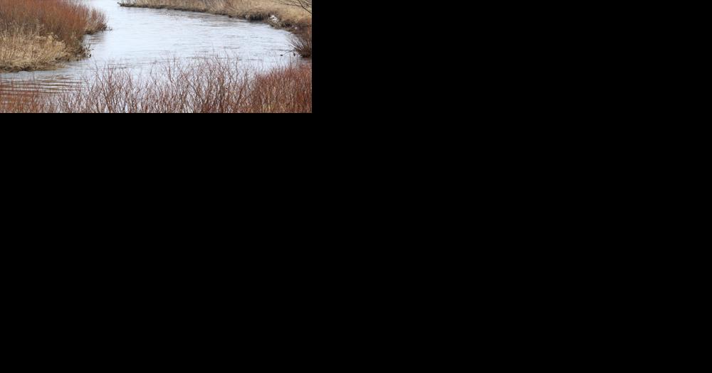 Water utility near dried-up river in Iowa pushes back against restrictions - Vimarsana News