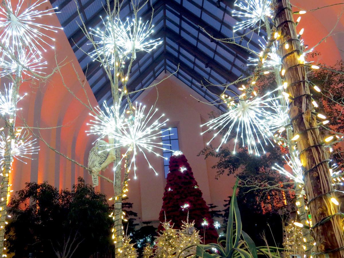 Lauritzen Gardens prepares for annual Holiday Poinsettia Show