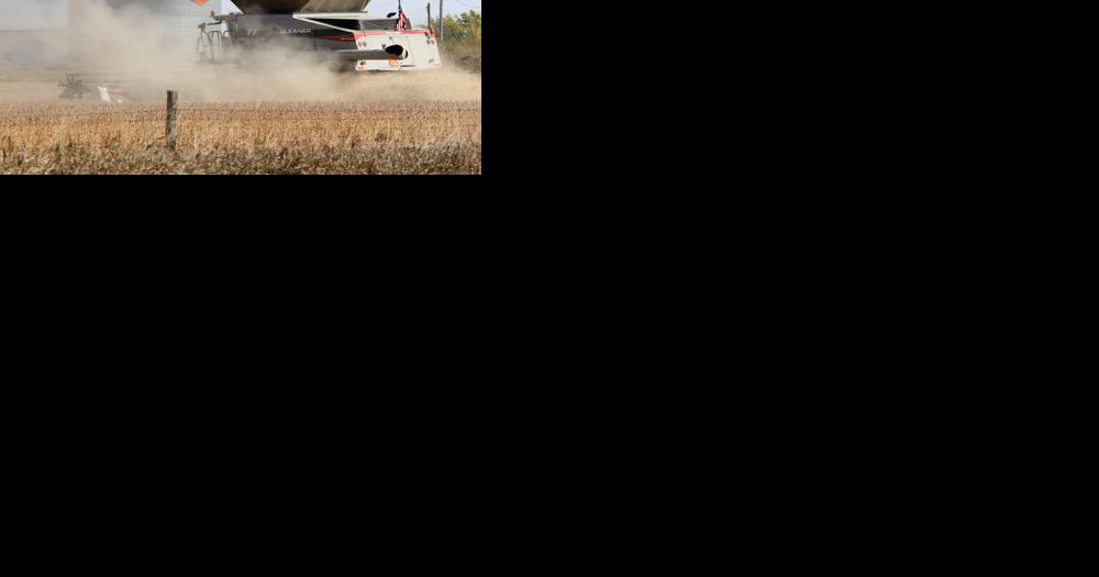 State of Iowa board rejects $1.5 million of grain loss claims - Vimarsana News