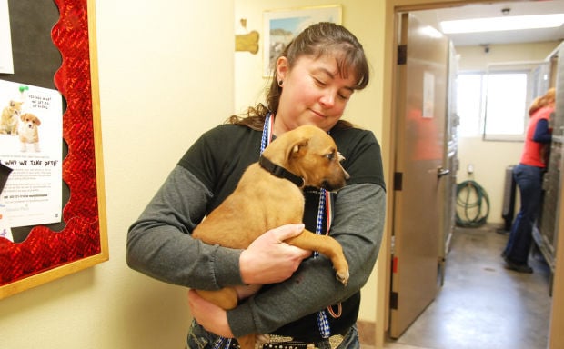 Humane Society rescues dogs from other shelters | Pets | fremonttribune.com