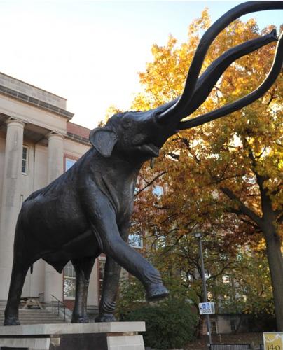 Families explore Morrill Hall in Lincoln