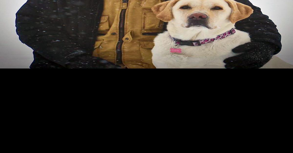 Weekend expos to focus on all things hunting and fishing