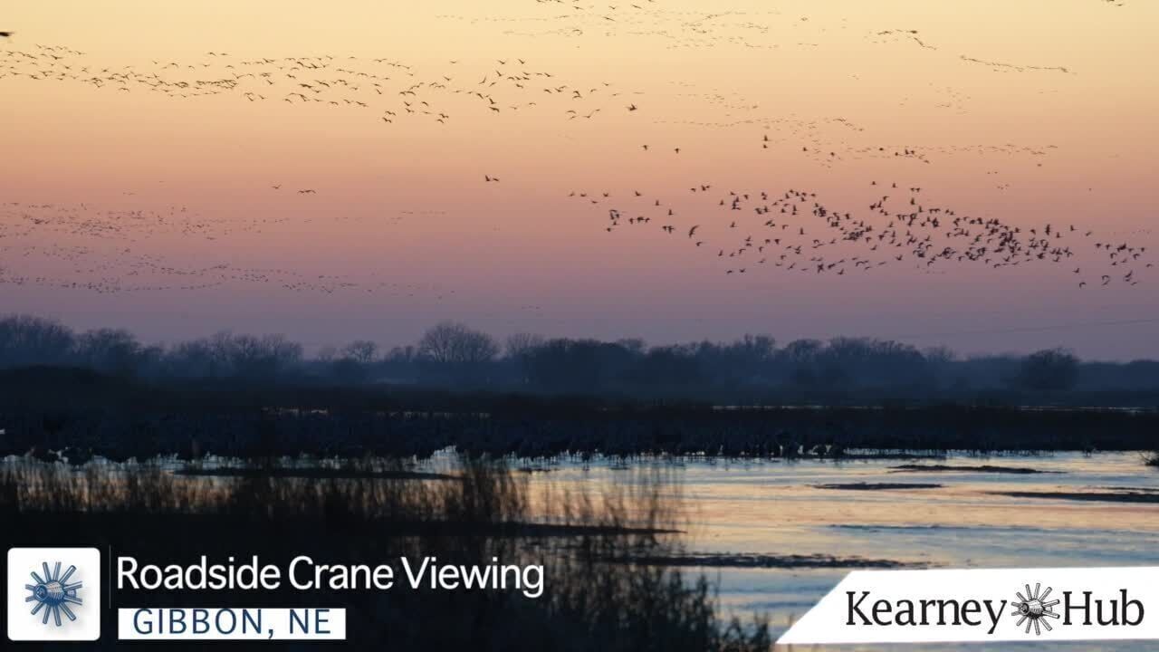 Nebraska s Platte River Valley A critical stopover for cranes during migration