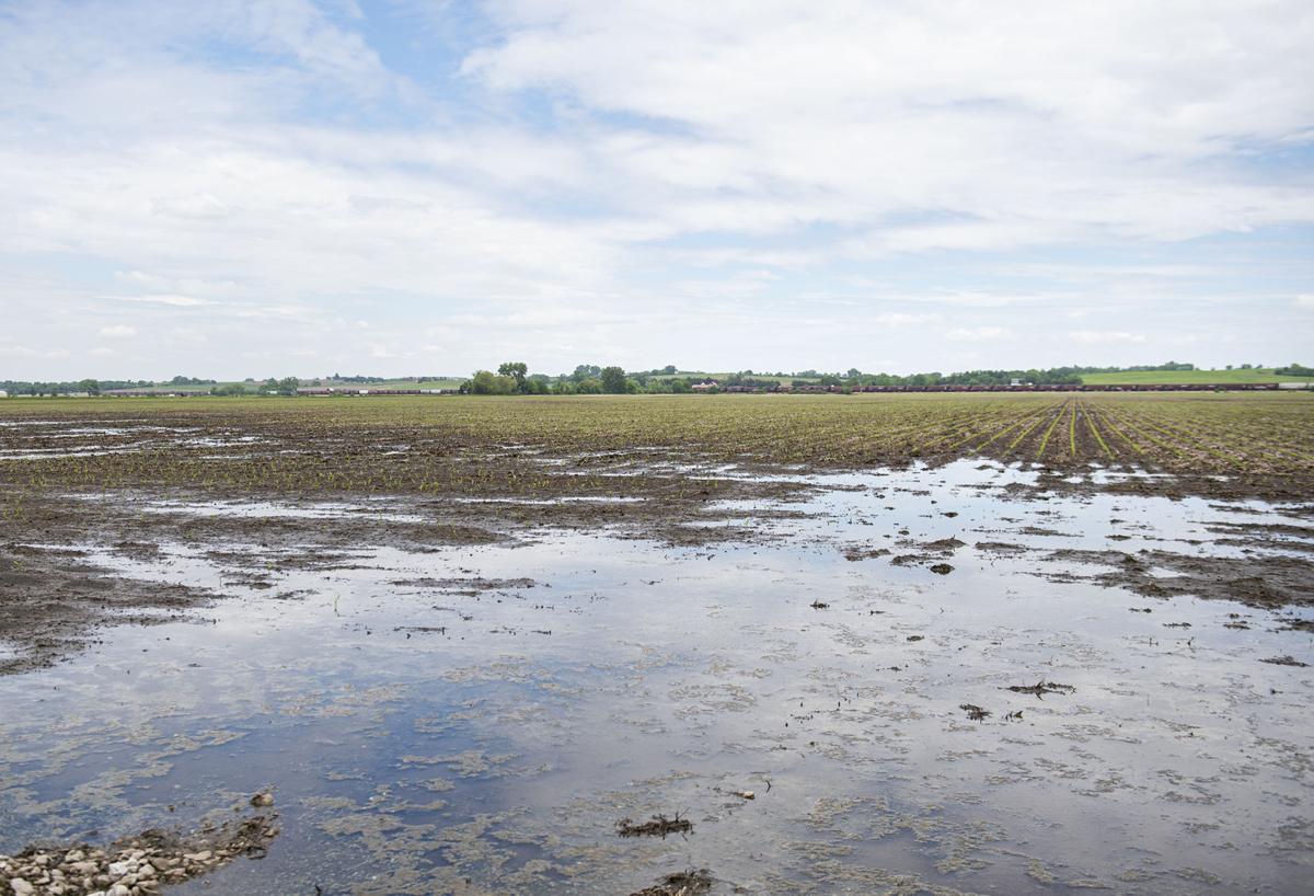 Fields under water, 5.30