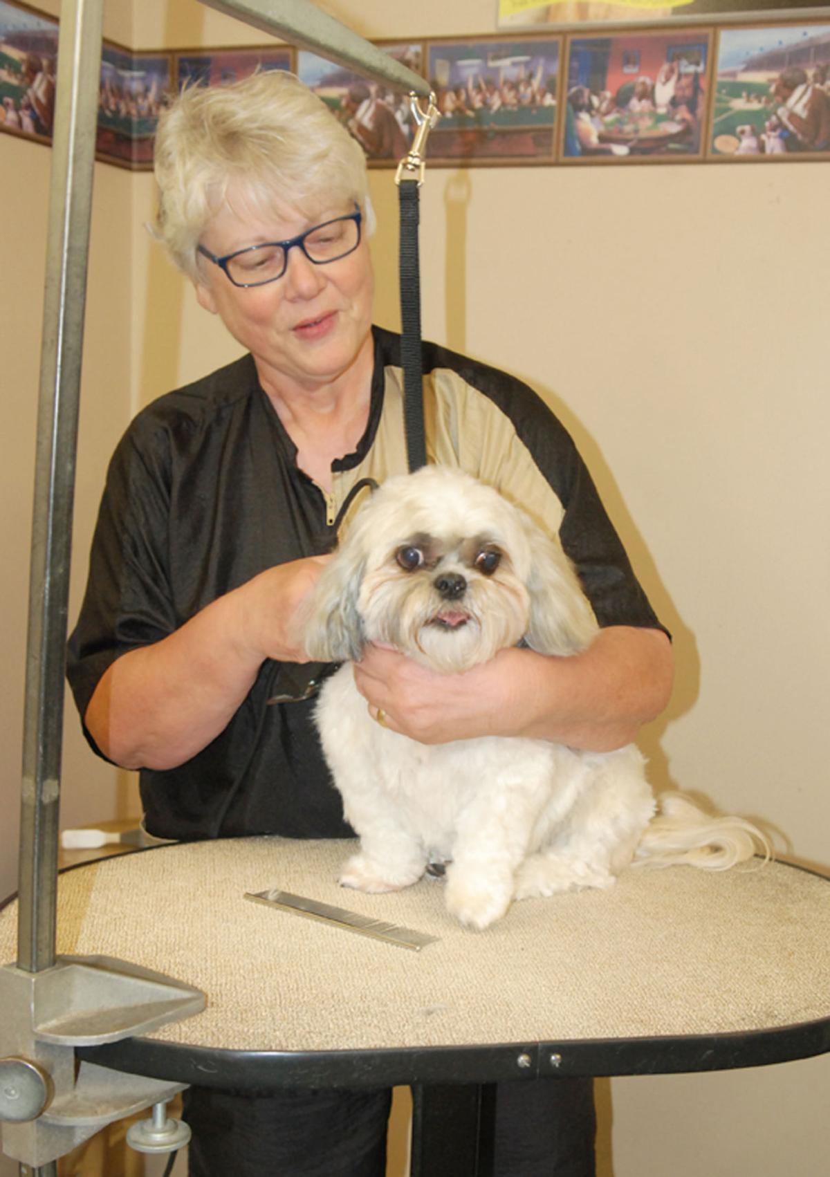 Puppies R Us Bridgeville - wzete06