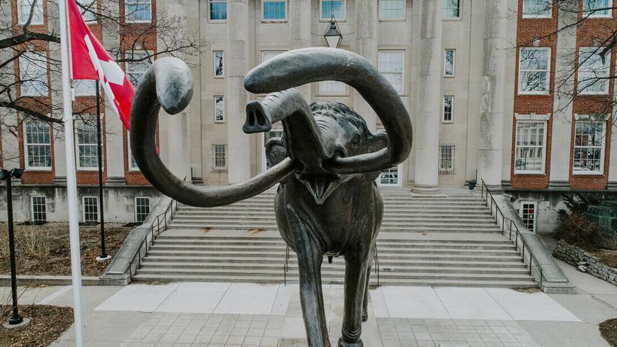 Public invited to ‘Eight-Legged Encounters’ at Morrill Hall