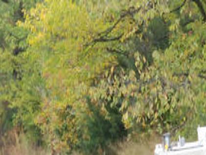 Trout Stocking Bolsters Fall Fishing At Fremont Lakes Sra Local News Fremonttribune Com