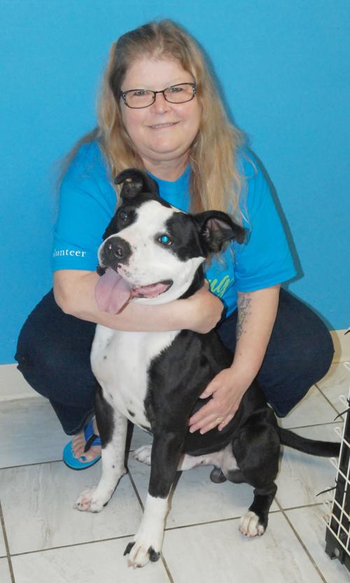 FurEver Homes food donation