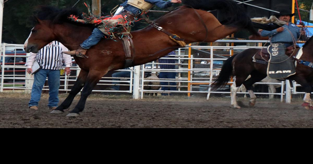 Three nights of rodeo will help kick off the Saunders County Fair