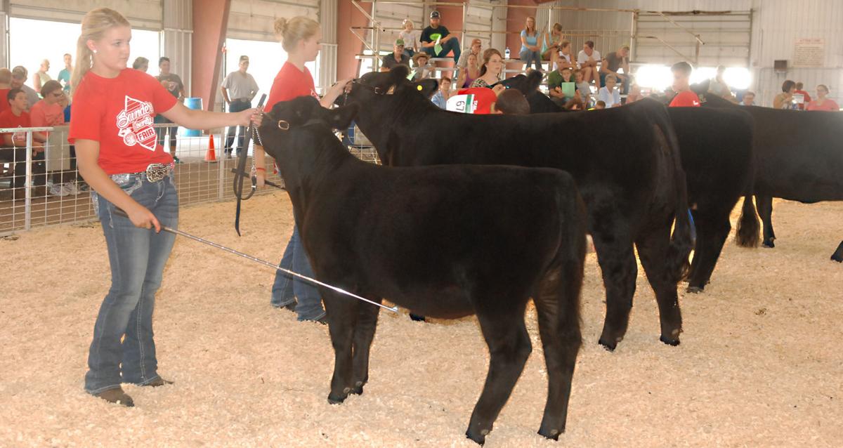 Saunders County Fair begins Sunday in Wahoo Arts & Theatre