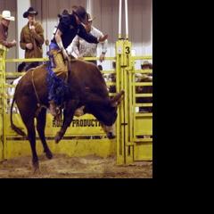 Bull riding classic draws area talent