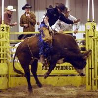 Bull Riding Delta Center Bull riding classic draws area talent