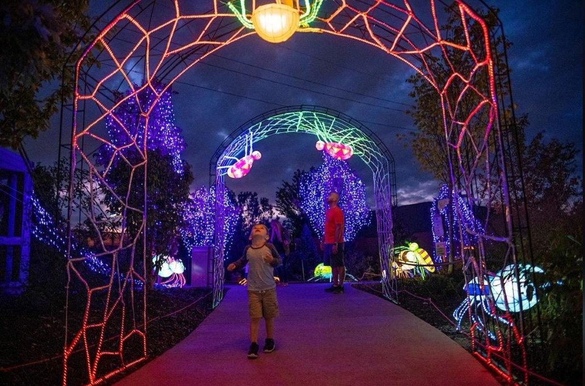 Ghouls Glow Lights Up Omaha Zoo Night Life Fremonttribune Com