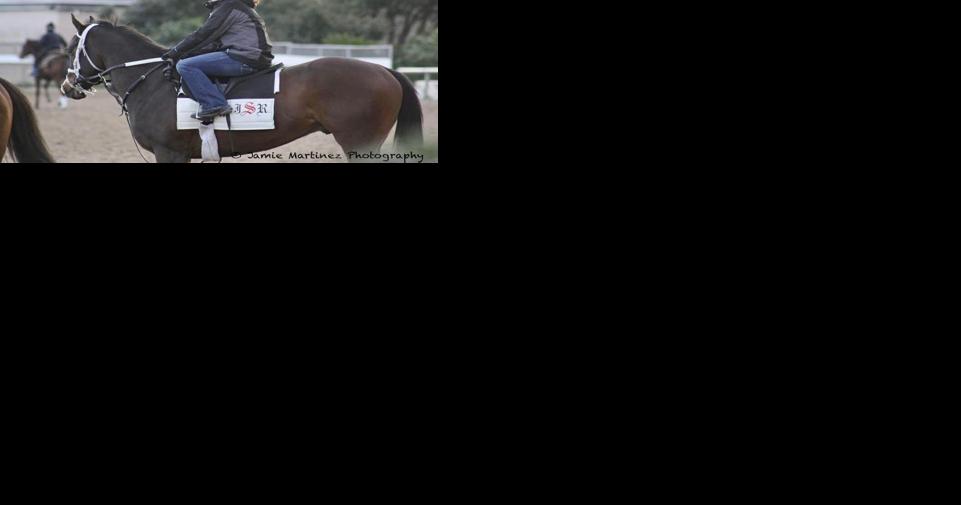 Nebraska native dies after being thrown from horse during training at Kentucky facility - Vimarsana News