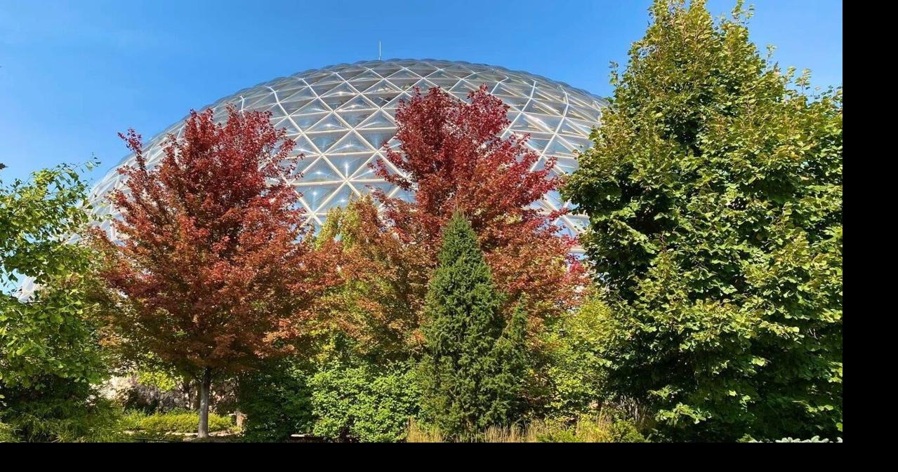 Omaha's Henry Doorly Zoo and Aquarium offering free admission for kids