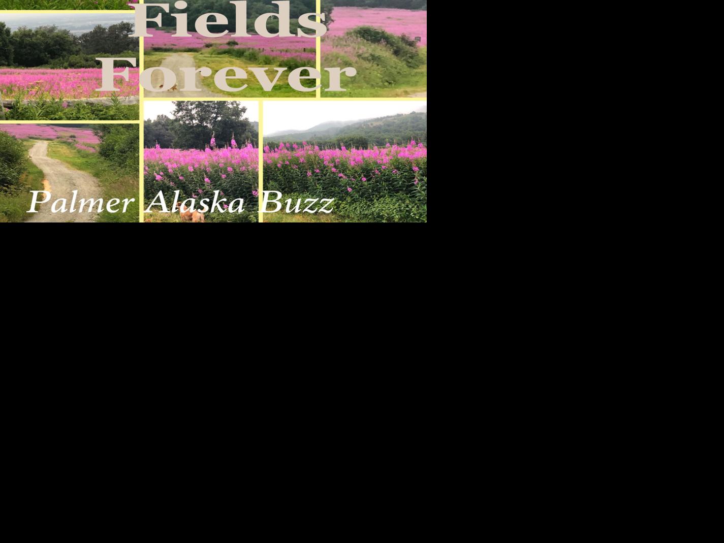 Palmer Buzz Gives Your 48 Places To Take Your Summer Visitors In Greater Palmer Arts Entertainment Frontiersman Com