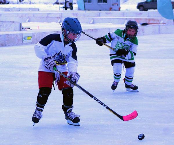 For the love of the game: Annual event celebrates hockey | Local Sports ...