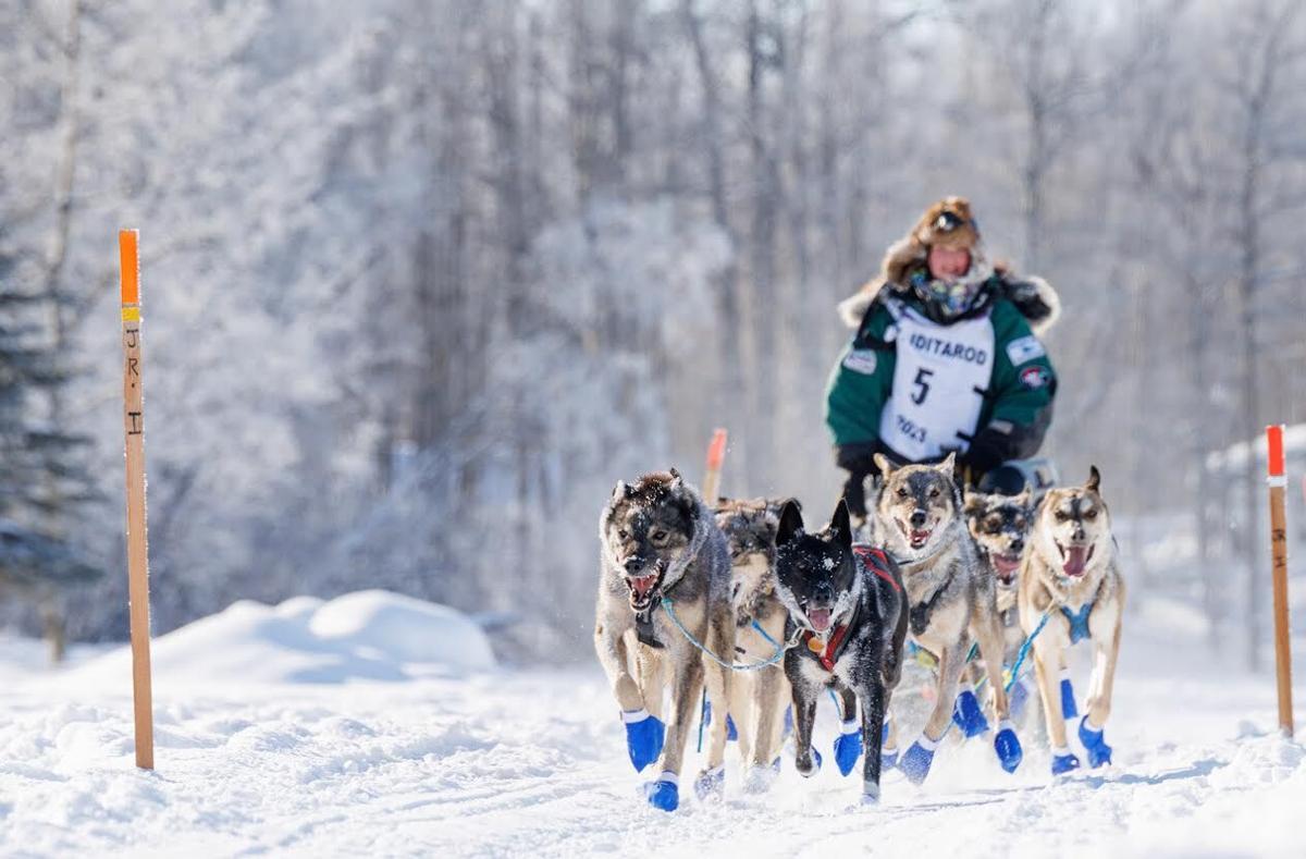 21 youth mushers set to compete in 2024 Jr. Iditarod Outdoors