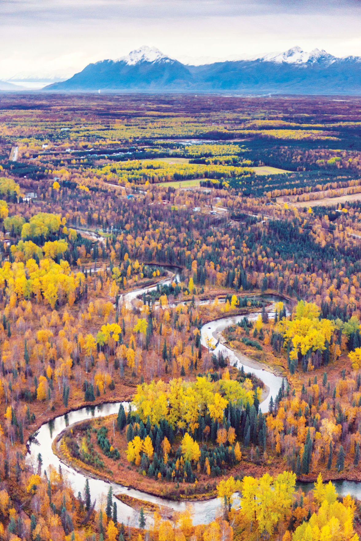 Elk ranch owners ‘pay it forward’ with salmon habitat preservation