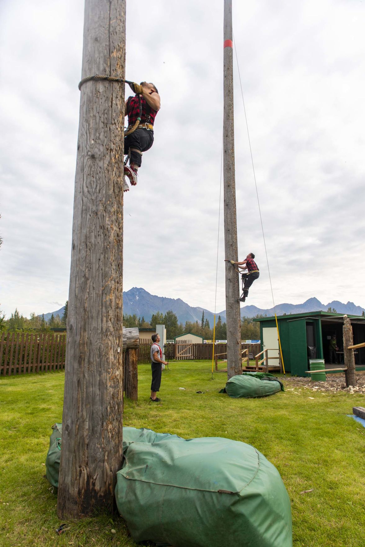 YOHO! Lumberjack show a state fair favorite Arts & Entertainment