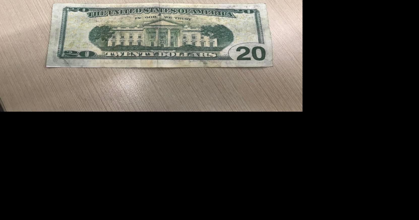 twenty dollar bill back