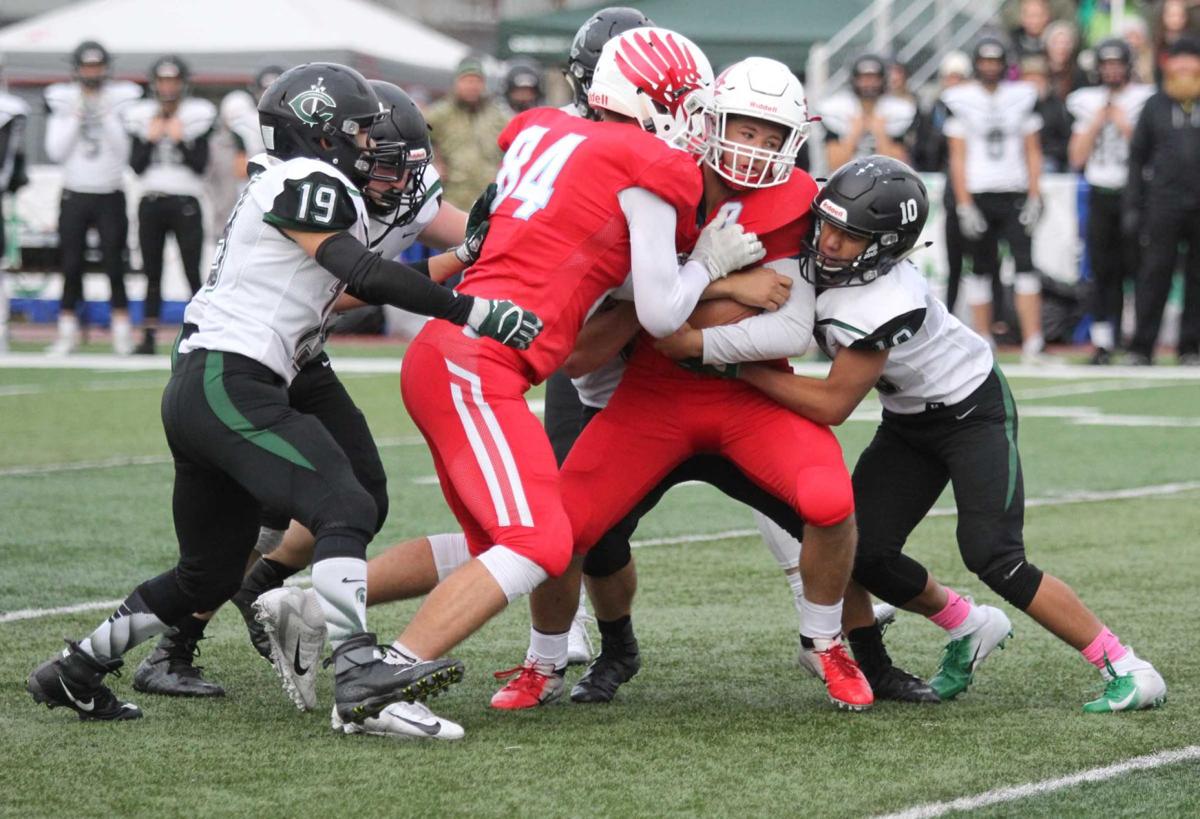 T Birds End Colony S Season Local Sports News Frontiersman Com