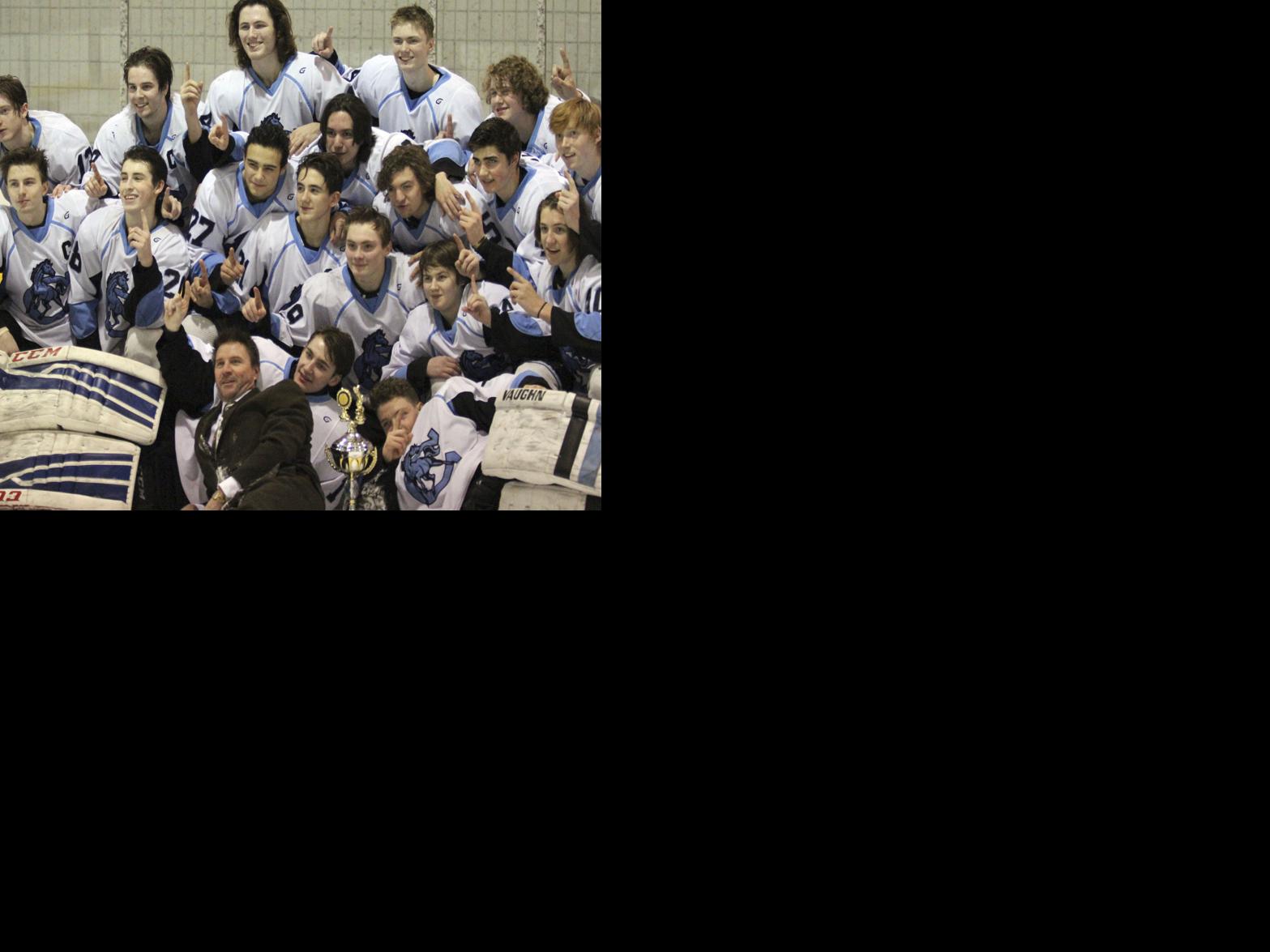 Chugiak Skates To Second Straight Cic Hockey Title Local News Stories Frontiersman Com The international ice hockey federation stages three major men's competitions every season, including the world championship. chugiak skates to second straight cic