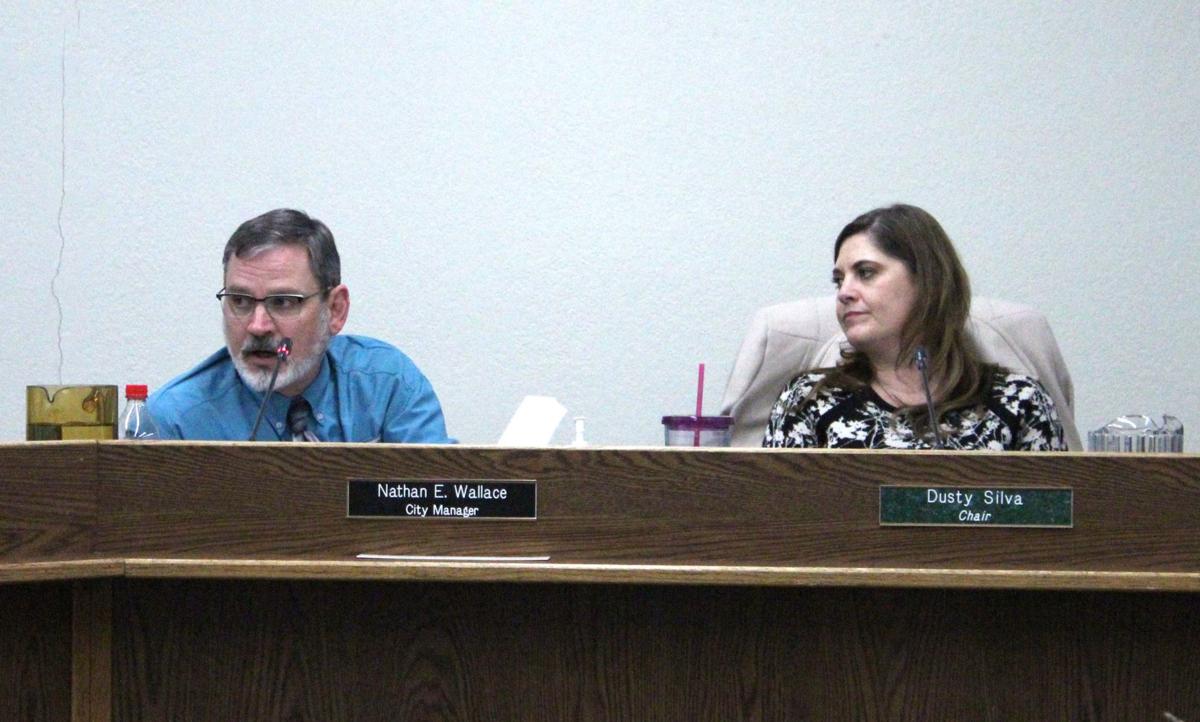 Members of Palmer City Council and Board of Economic Development share