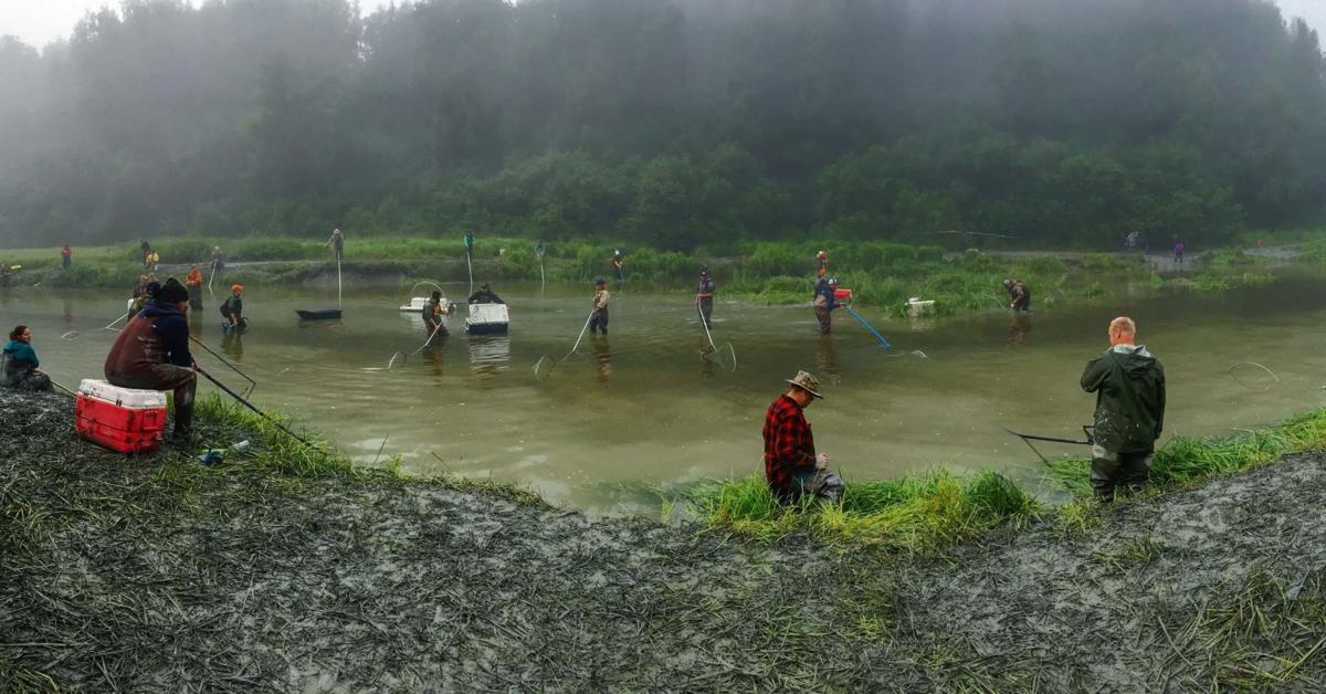 OPEN SEASON hit Fish Creek Local News Stories