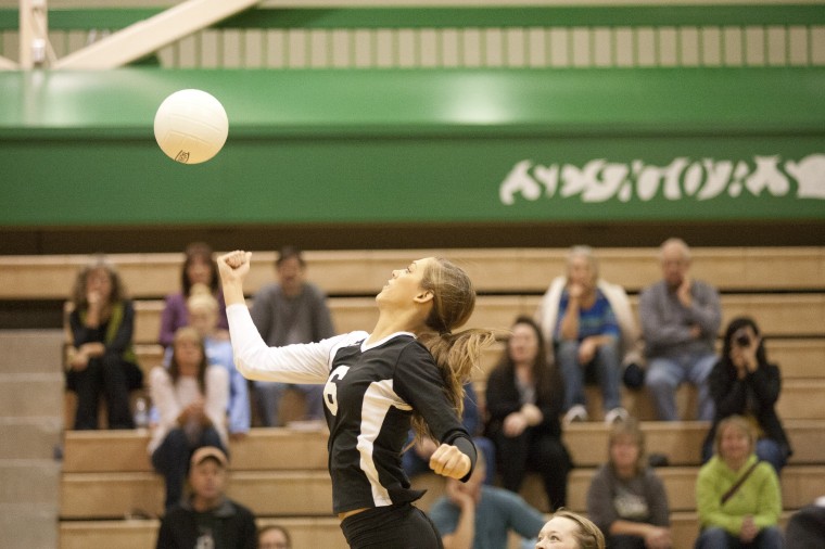 Colony Knights Volleyball Sports