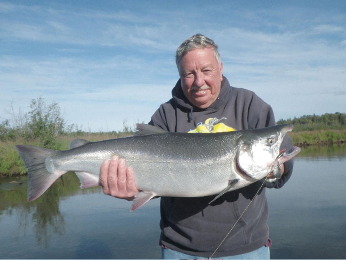 Coho Ho Silver Fishing Strong In The Mat Su Valley Outdoors Frontiersman Com