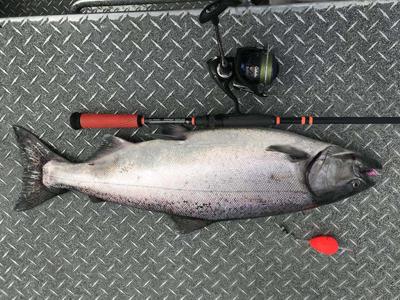 Mat-Su Angler's Fishing Corner: Weekend begins with king salmon