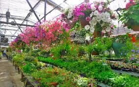 Mosesian Farms of Alaska Named 2025 Farm Family
