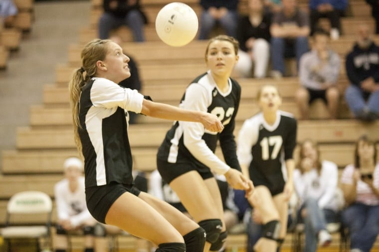 Colony Knights Volleyball Sports