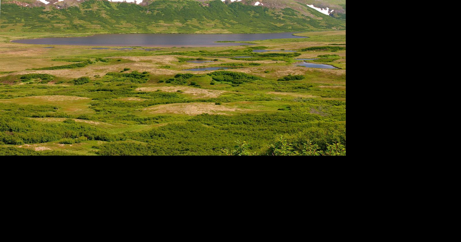 Appeals court panel orders review of EPA decision in Alaska News