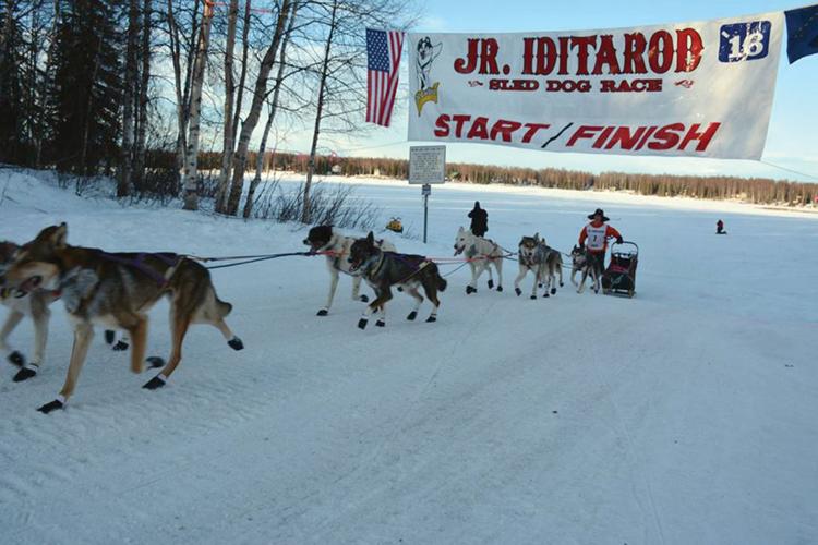 Wasilla teen finds success in sport of dog mushing Local Sports