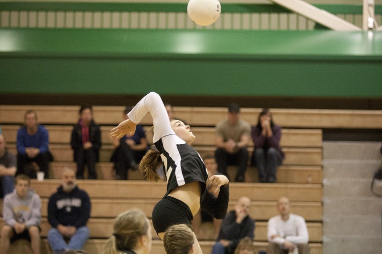 Colony Knights Volleyball Sports