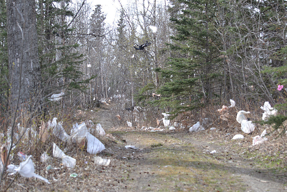 SPECTRUM Plastic bags trashing the MatSu Valley Opinions