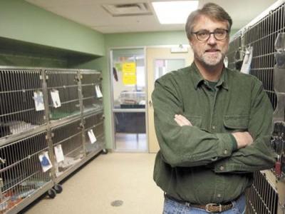 More cats won’t send shelter into tailspin | Local News Stories