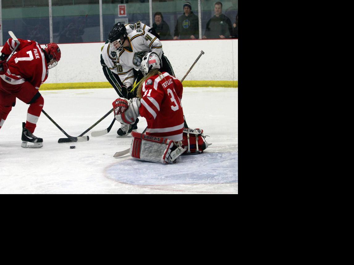 Valley Grown UNOUAA hockey series features a pair of former Valley