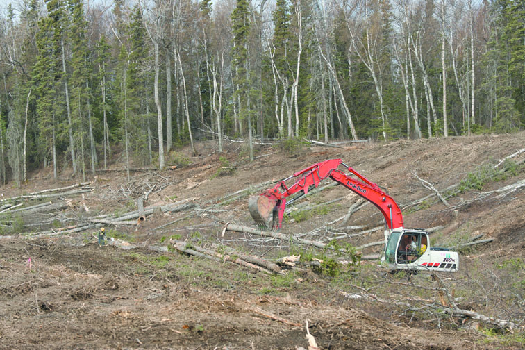 Cottonwood Creek Elementary access target of roadwork Local News
